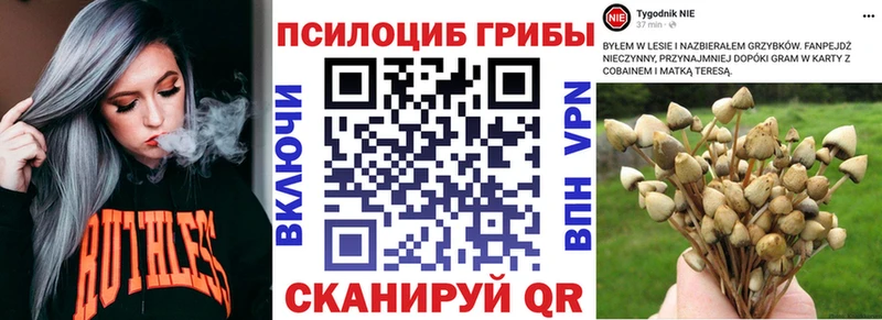 что такое наркотик  Поворино  Галлюциногенные грибы Magic Shrooms 